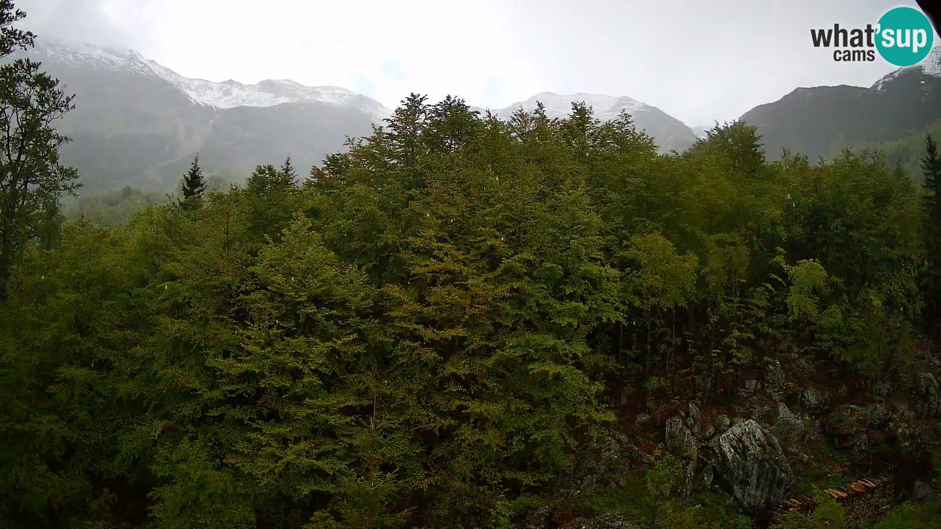 PLANINA RAZOR web kamera (1315) | pogled na Vogel i Globoko