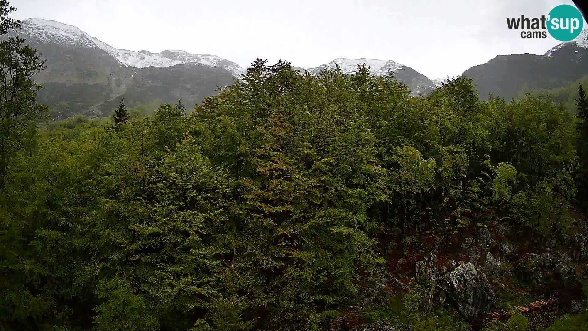 Livecam PLANINA RAZOR (1315) | vue sur Vogel et Globoko