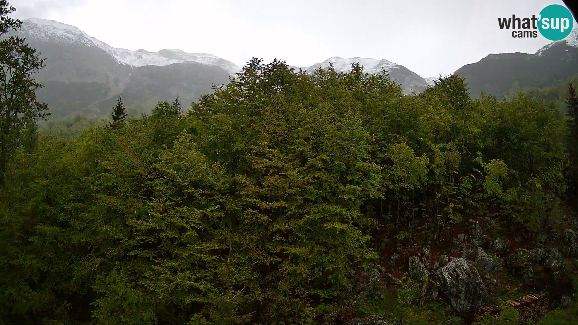 Webcam PLANINA RAZOR (1315) | Blick auf Vogel und Globoko