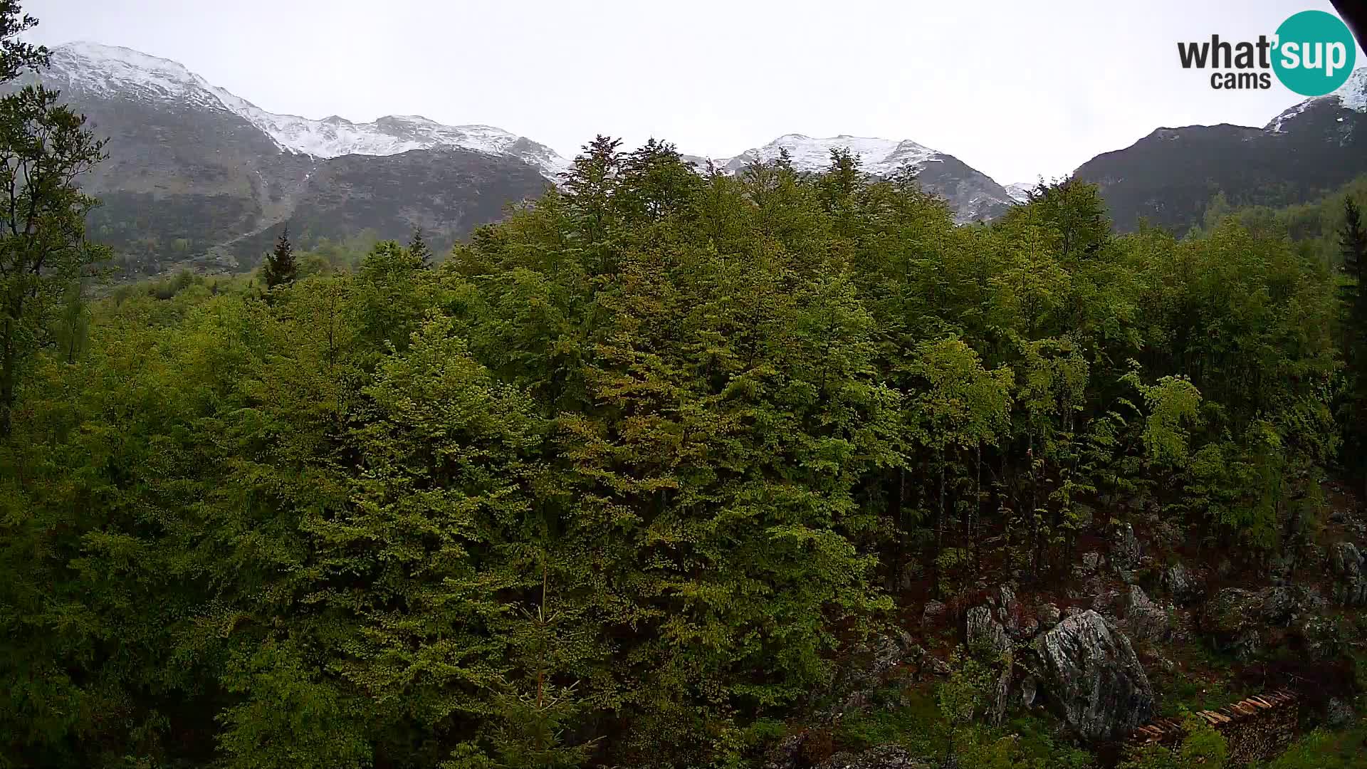 PLANINA RAZOR kamera (1315) | pogled na Vogel in Globoko