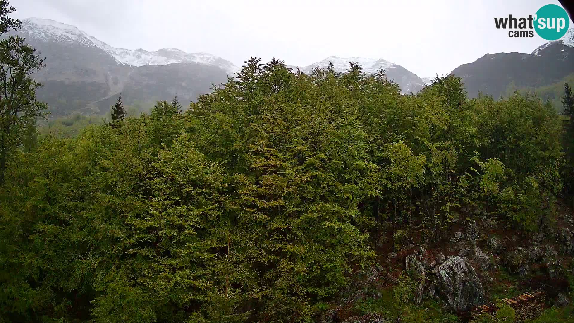 PLANINA RAZOR kamera (1315) | pogled na Vogel in Globoko