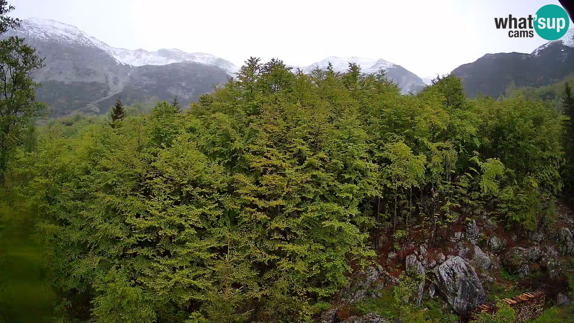 Livecam PLANINA RAZOR (1315) | vue sur Vogel et Globoko