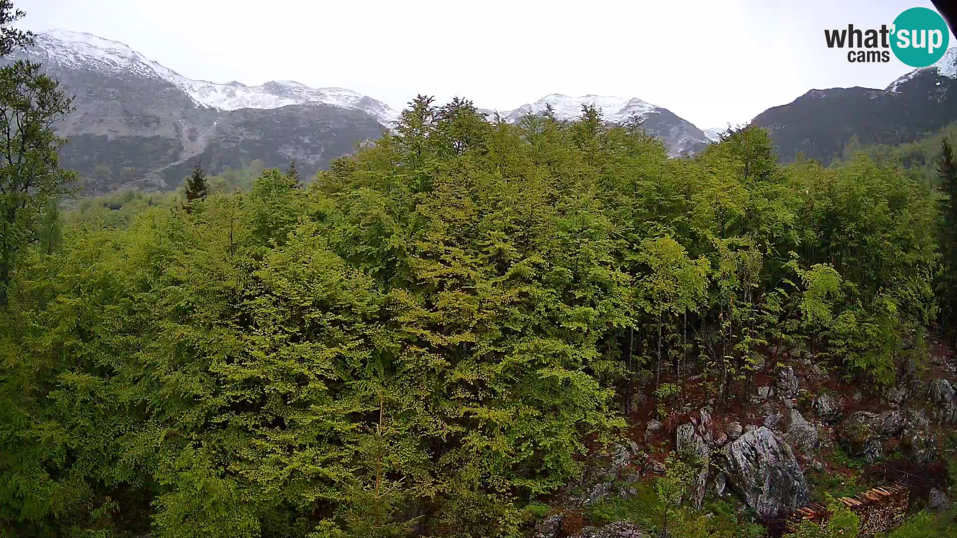 PLANINA RAZOR Live Cam (1315) | vista su Vogel e Globoko