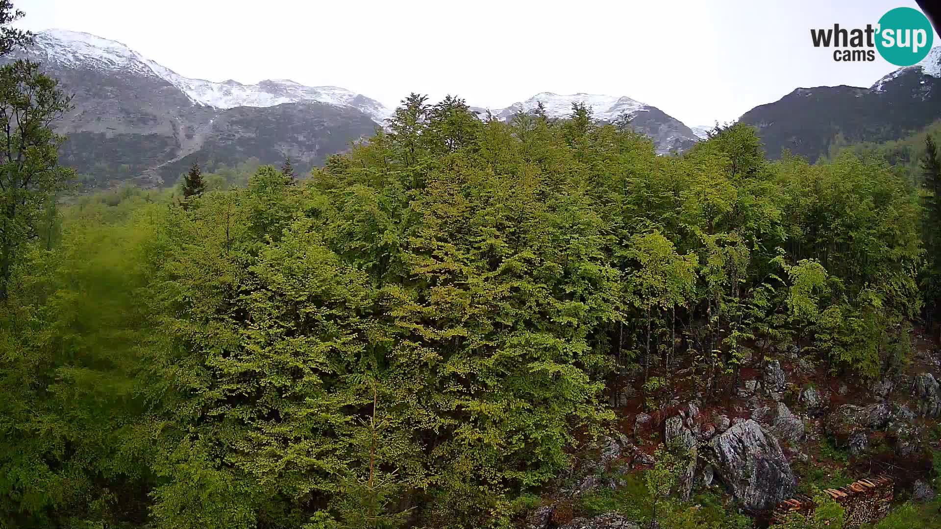 PLANINA RAZOR Live Cam (1315) | vista su Vogel e Globoko