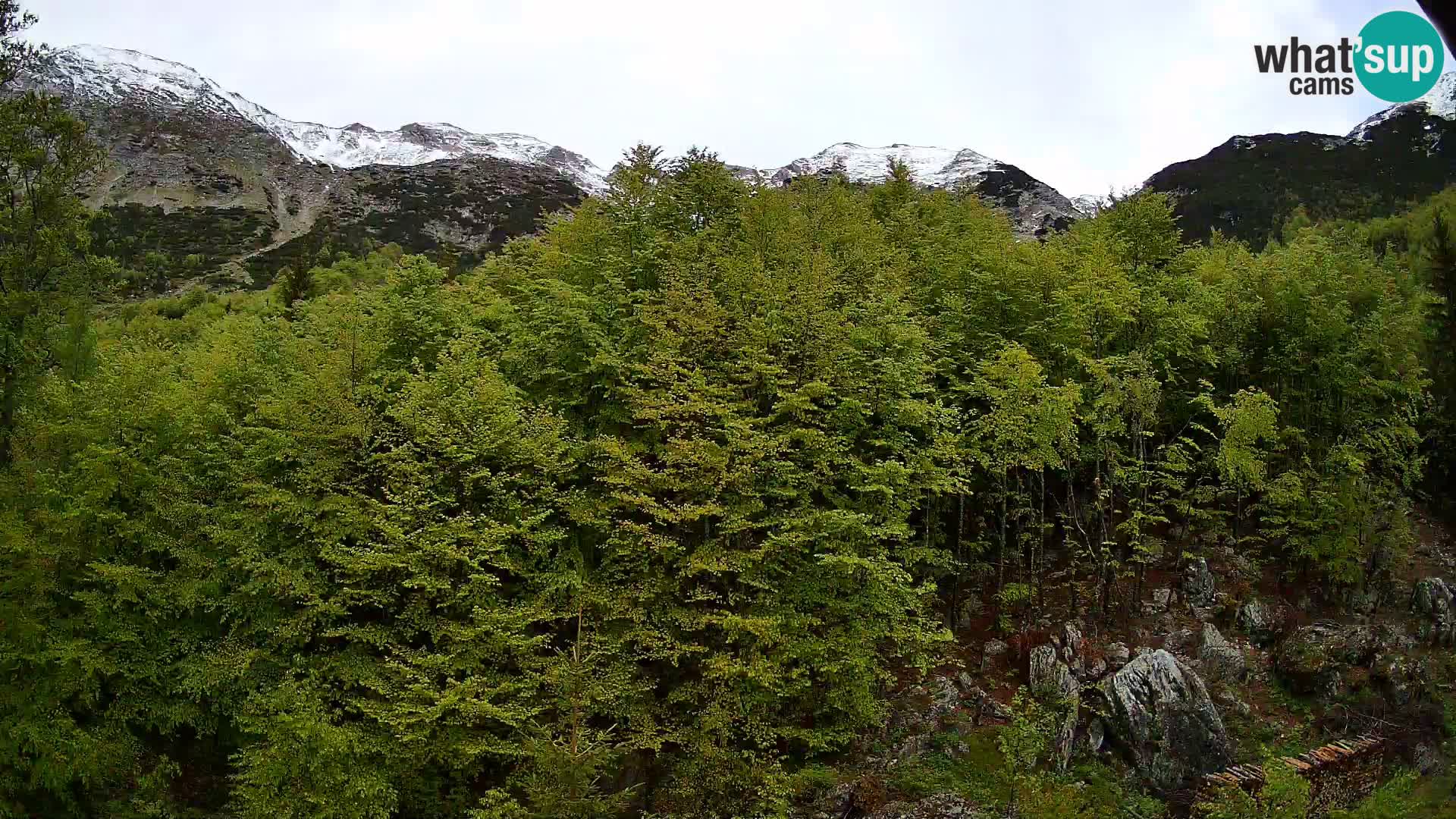 PLANINA RAZOR Live Cam (1315) | vista su Vogel e Globoko
