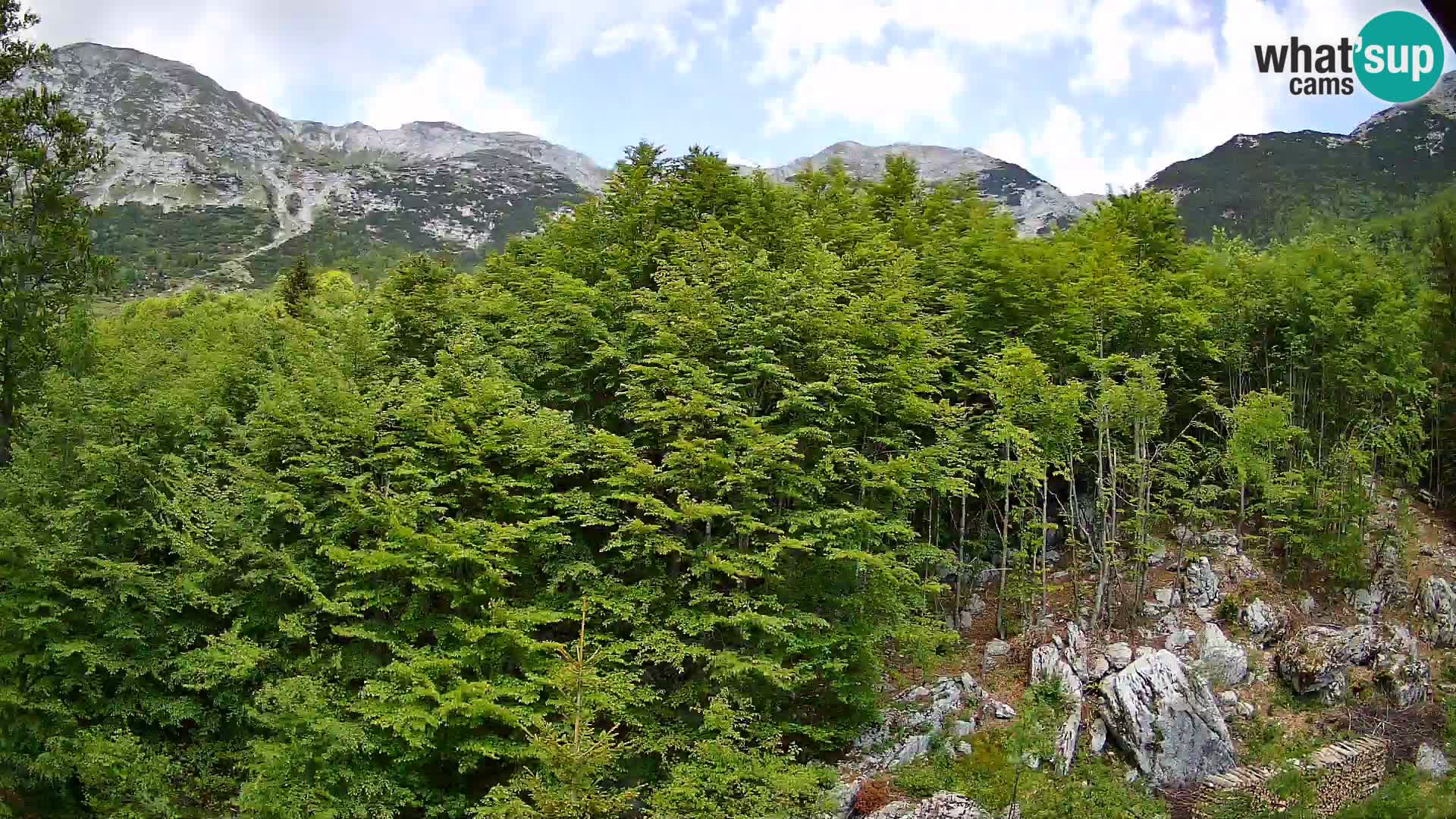 PLANINA RAZOR kamera (1315) | pogled na Vogel in Globoko