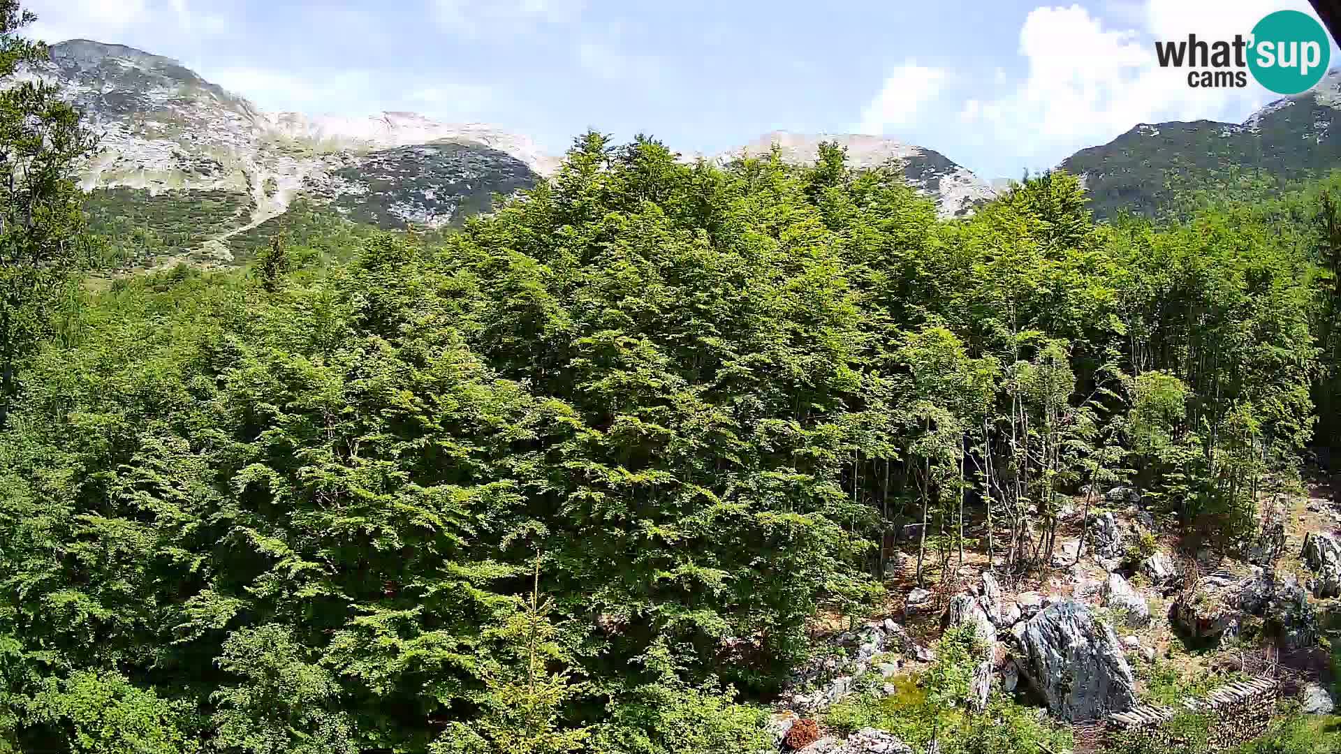PLANINA RAZOR Live Cam (1315) | vista su Vogel e Globoko