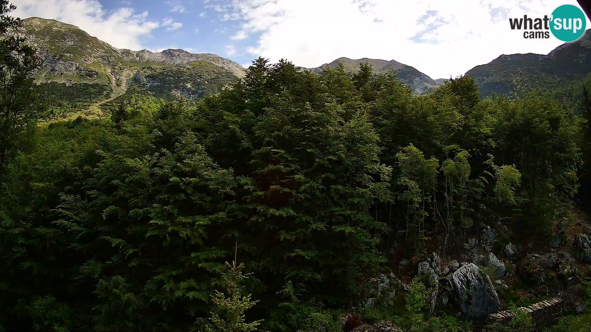 PLANINA RAZOR web kamera (1315) | pogled na Vogel i Globoko