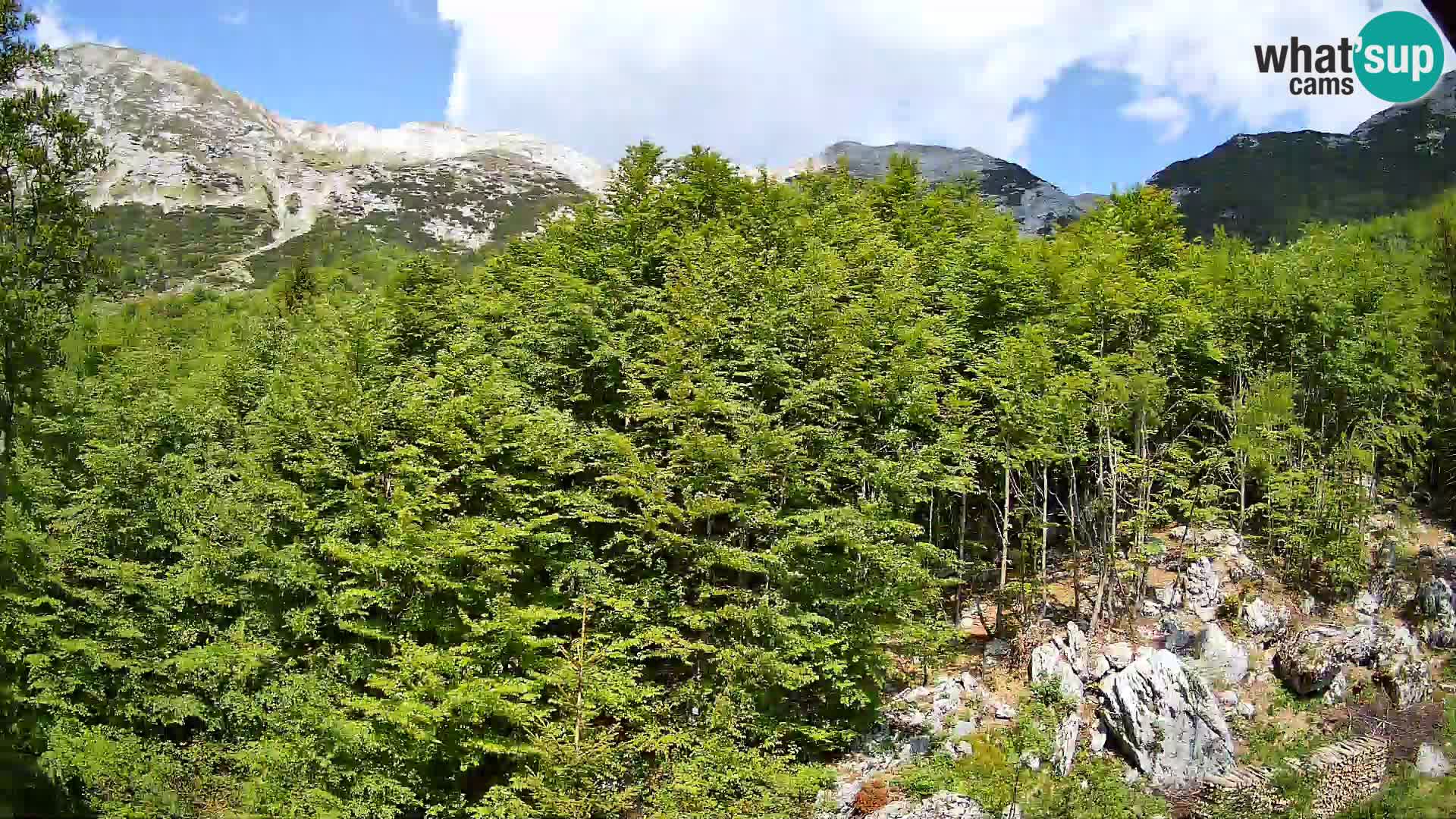 PLANINA RAZOR kamera (1315) | pogled na Vogel in Globoko