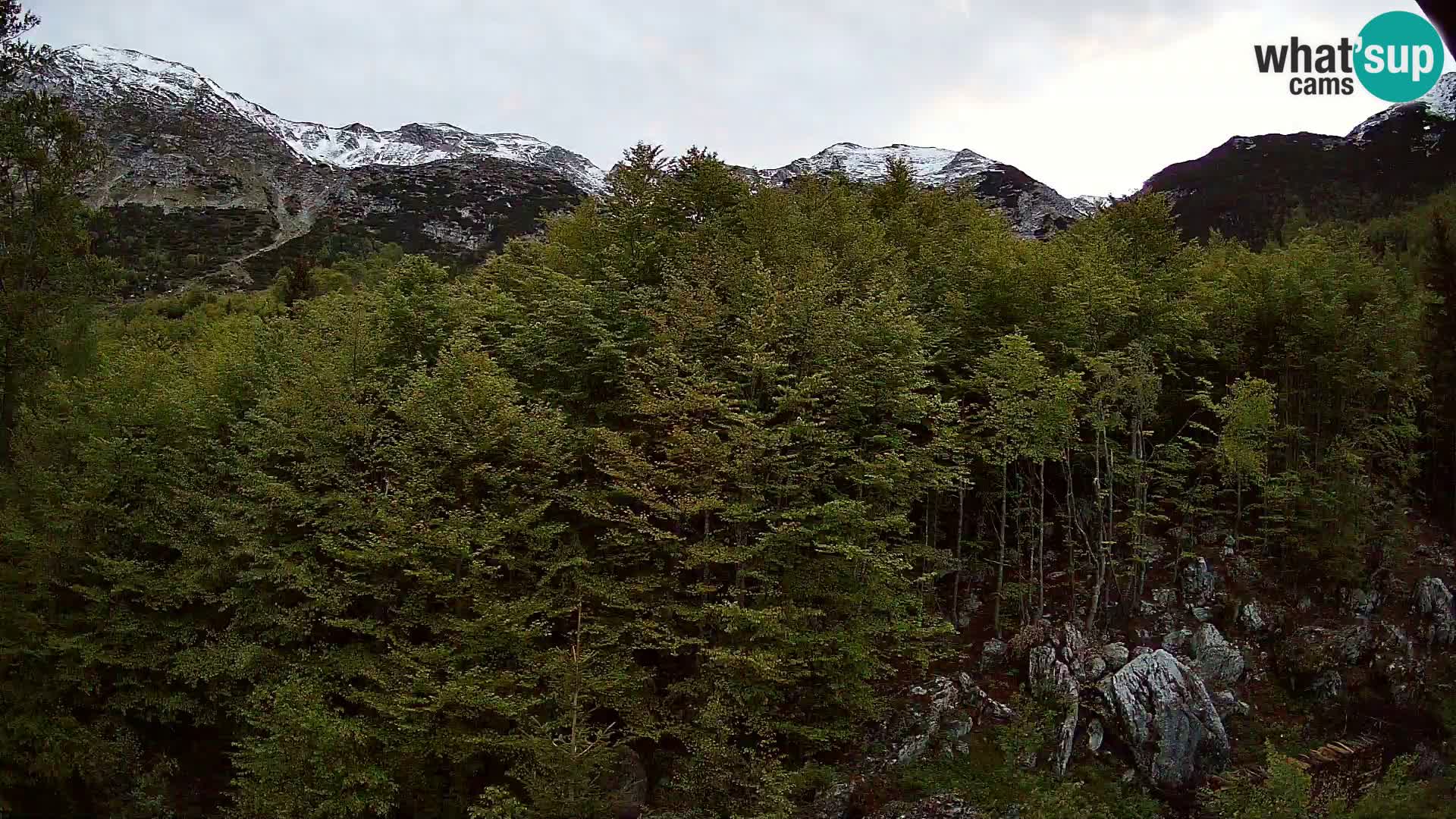 Webcam PLANINA RAZOR (1315) | Blick auf Vogel und Globoko