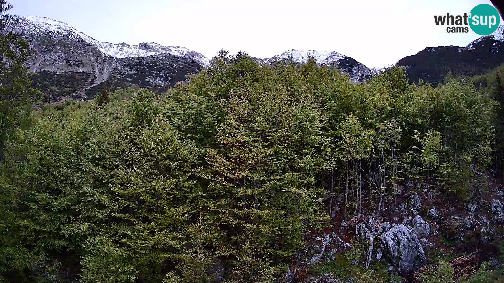 PLANINA RAZOR webcam (1315) | view to Vogel and Globoko