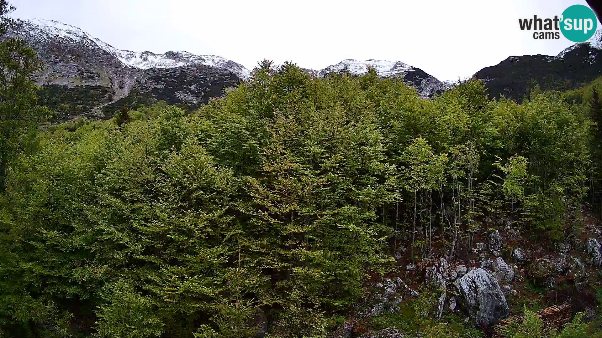 PLANINA RAZOR web kamera (1315) | pogled na Vogel i Globoko