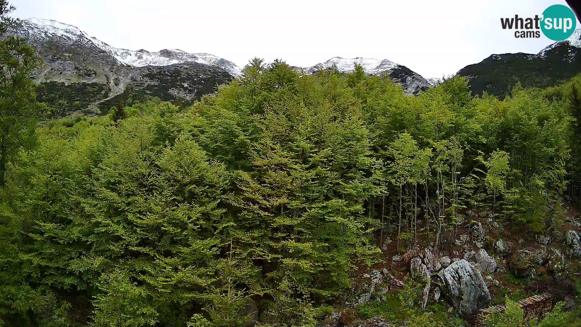 PLANINA RAZOR web kamera (1315) | pogled na Vogel i Globoko