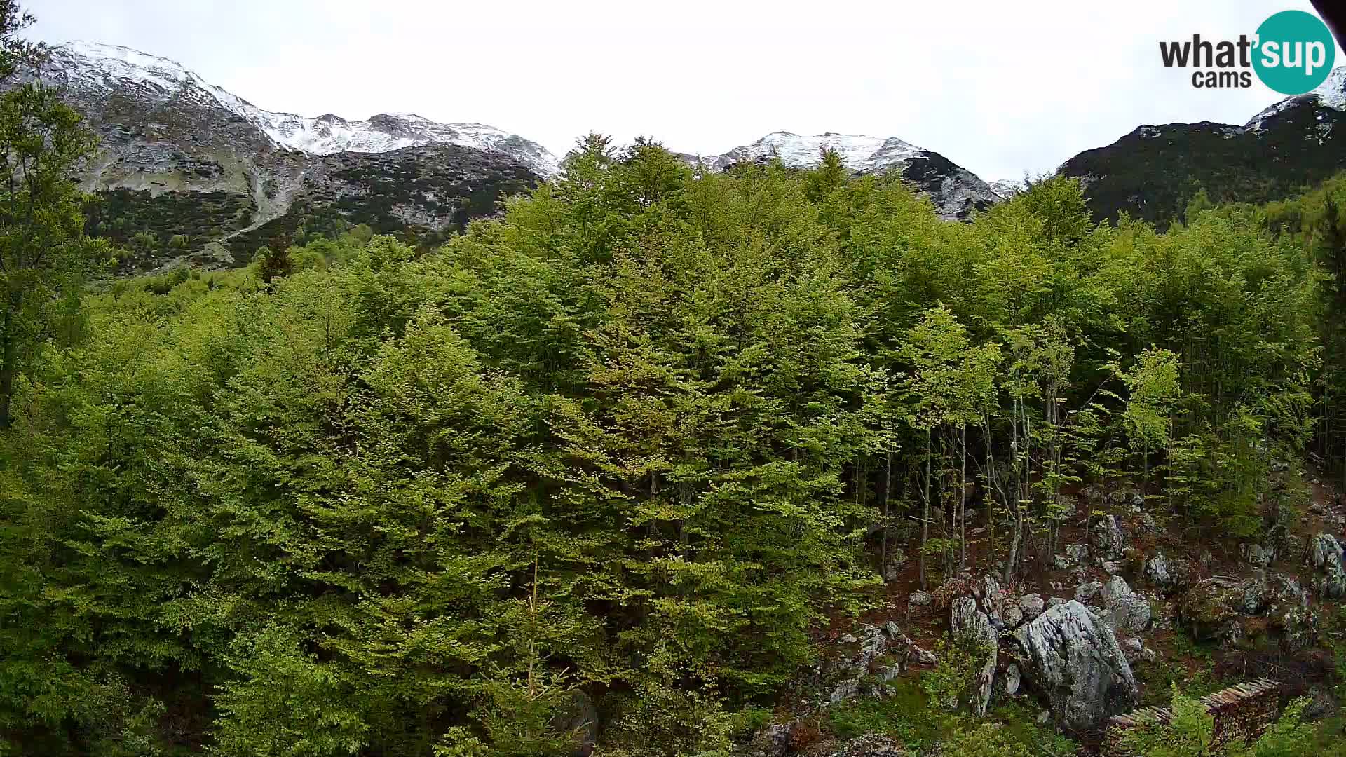 PLANINA RAZOR webcam (1315) | view to Vogel and Globoko
