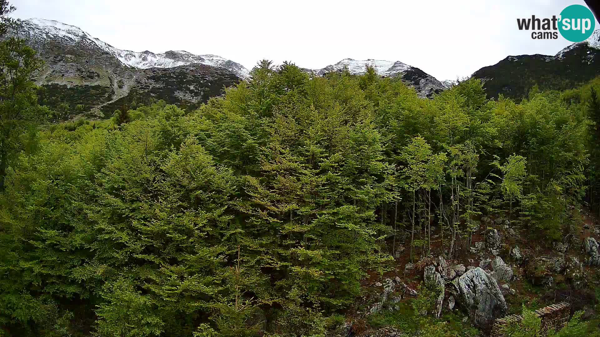 PLANINA RAZOR web kamera (1315) | pogled na Vogel i Globoko