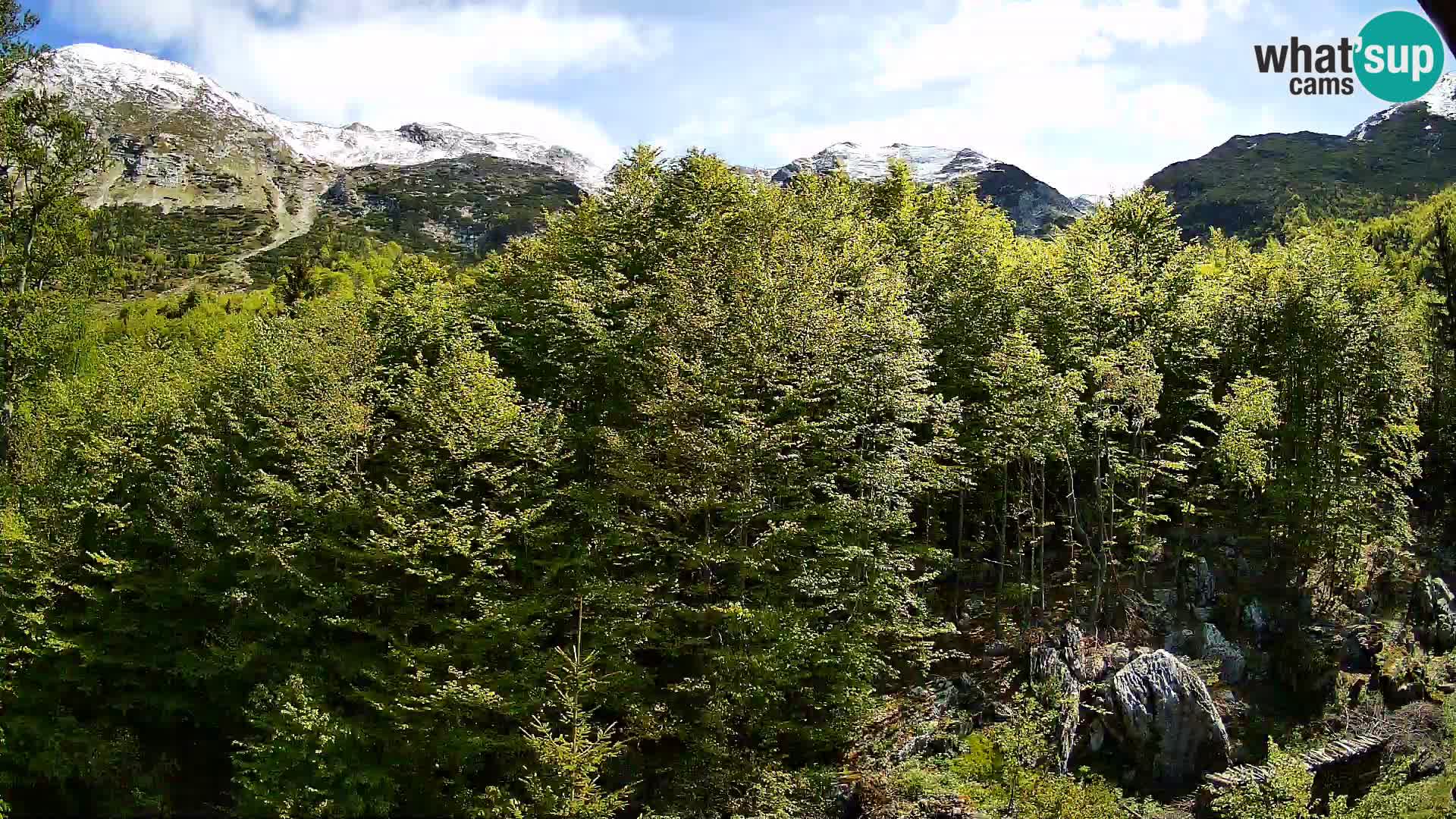 PLANINA RAZOR kamera (1315) | pogled na Vogel in Globoko