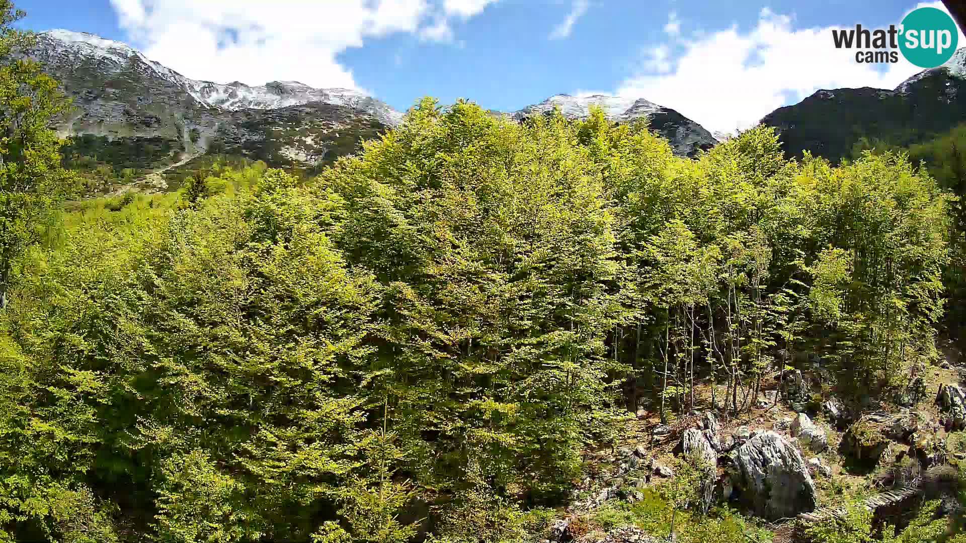 PLANINA RAZOR web kamera (1315) | pogled na Vogel i Globoko