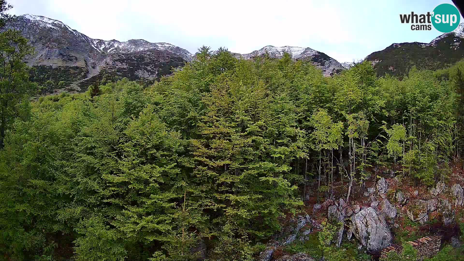 PLANINA RAZOR kamera (1315) | pogled na Vogel in Globoko