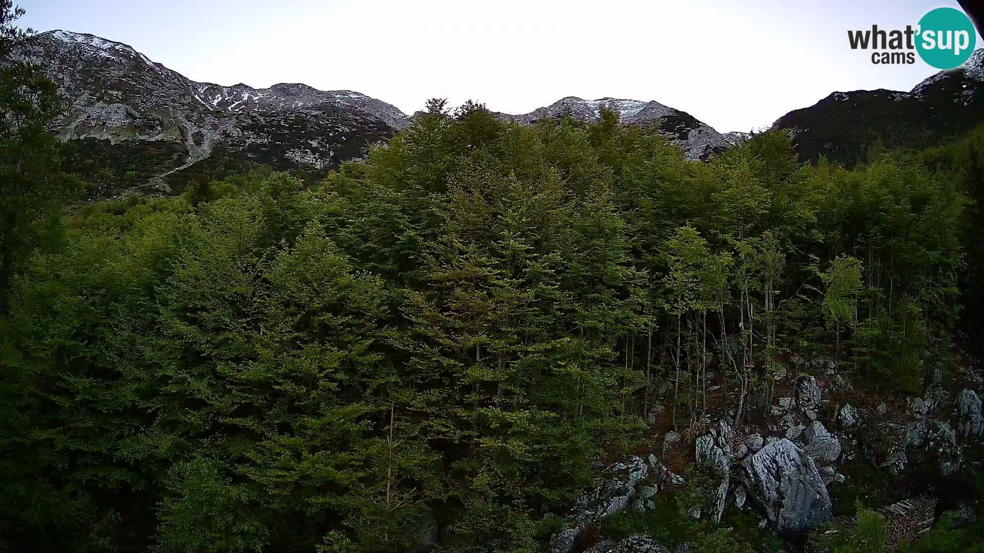 PLANINA RAZOR webcam (1315) | view to Vogel and Globoko
