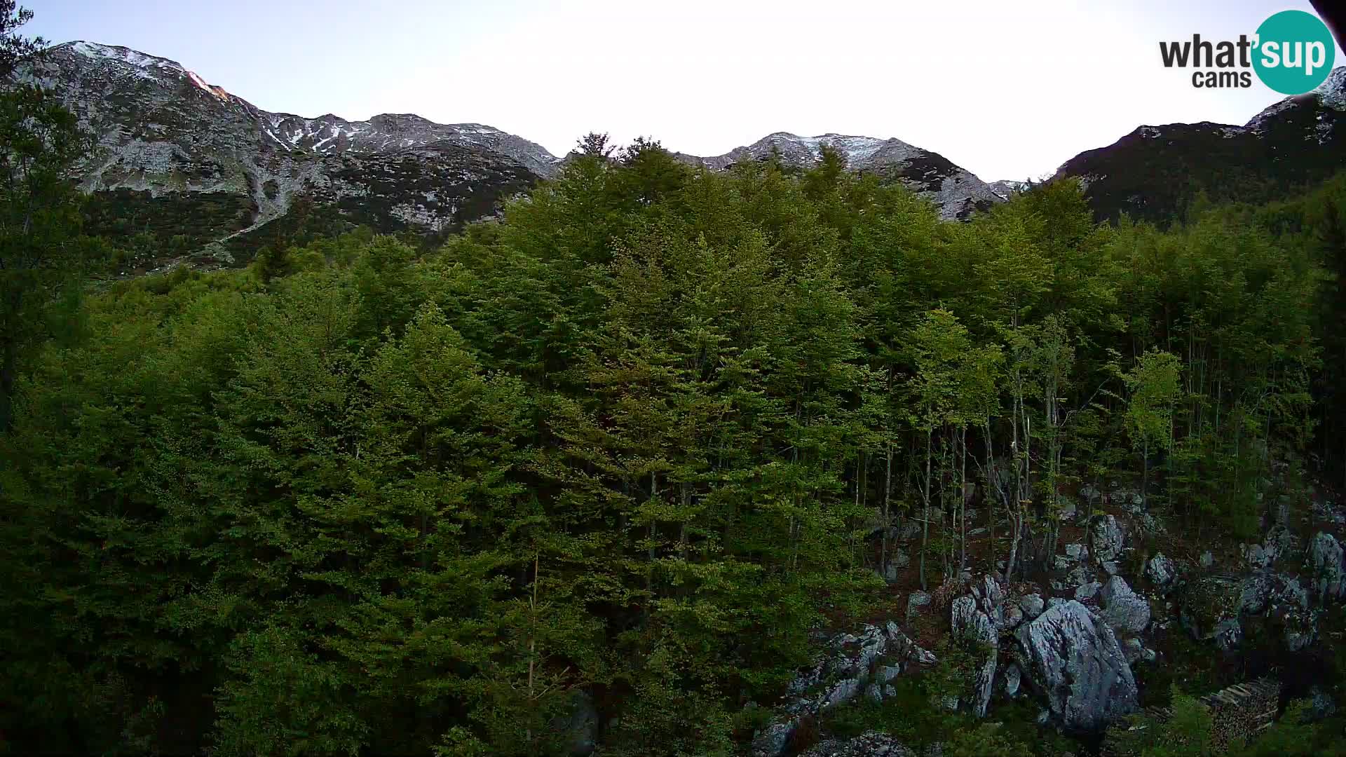 Livecam PLANINA RAZOR (1315) | vue sur Vogel et Globoko