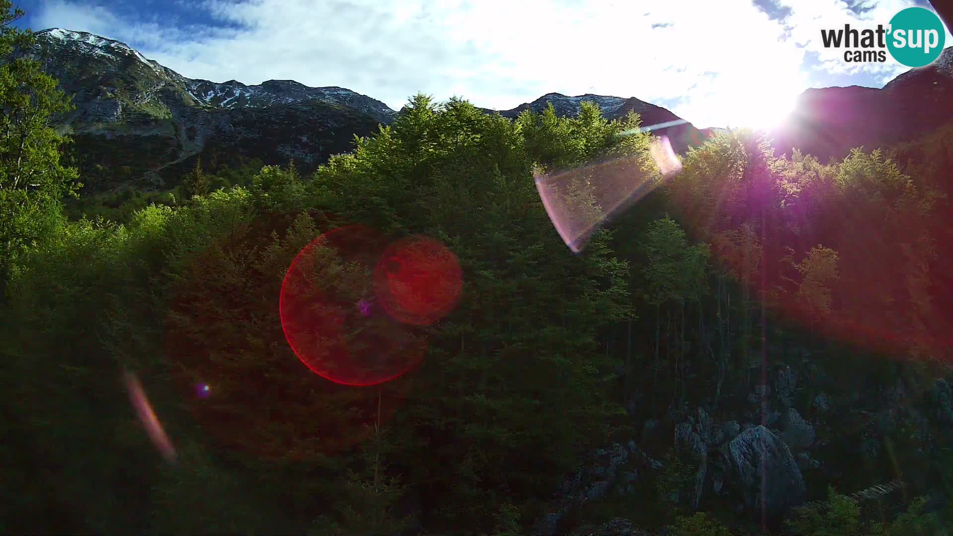 PLANINA RAZOR Live Cam (1315) | vista su Vogel e Globoko