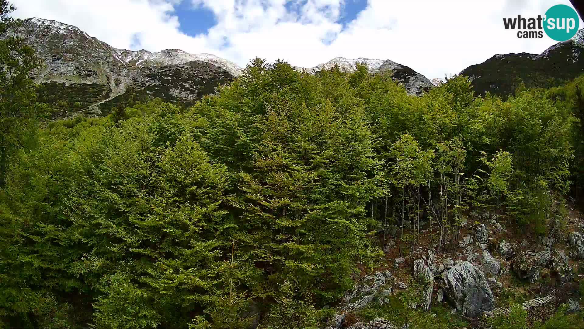 Cámara web PLANINA RAZOR (1315) | vista a Vogel y Globoko