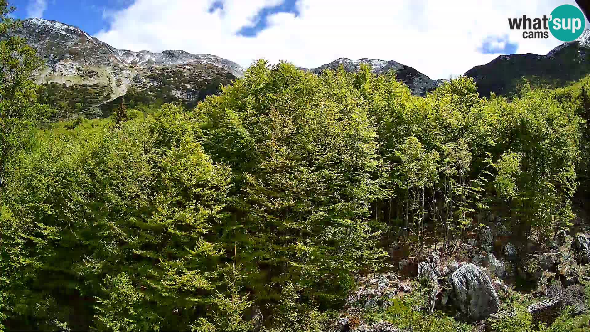 PLANINA RAZOR kamera (1315) | pogled na Vogel in Globoko