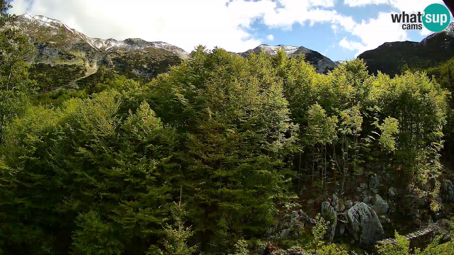 PLANINA RAZOR kamera (1315) | pogled na Vogel in Globoko