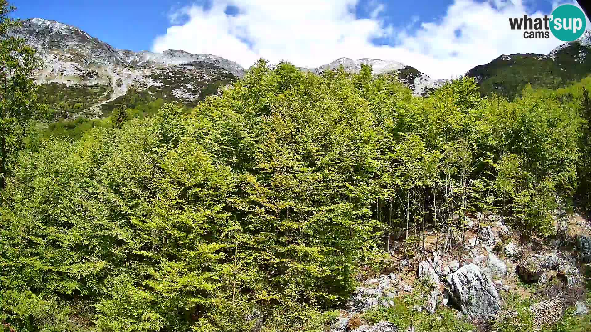 PLANINA RAZOR kamera (1315) | pogled na Vogel in Globoko