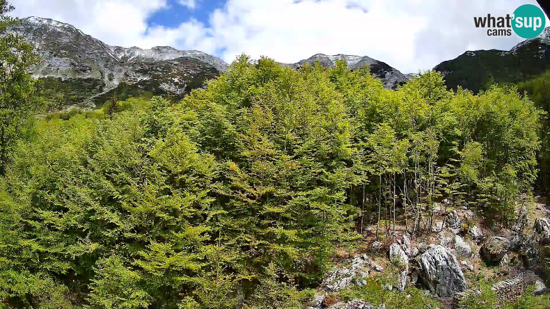 PLANINA RAZOR kamera (1315) | pogled na Vogel in Globoko