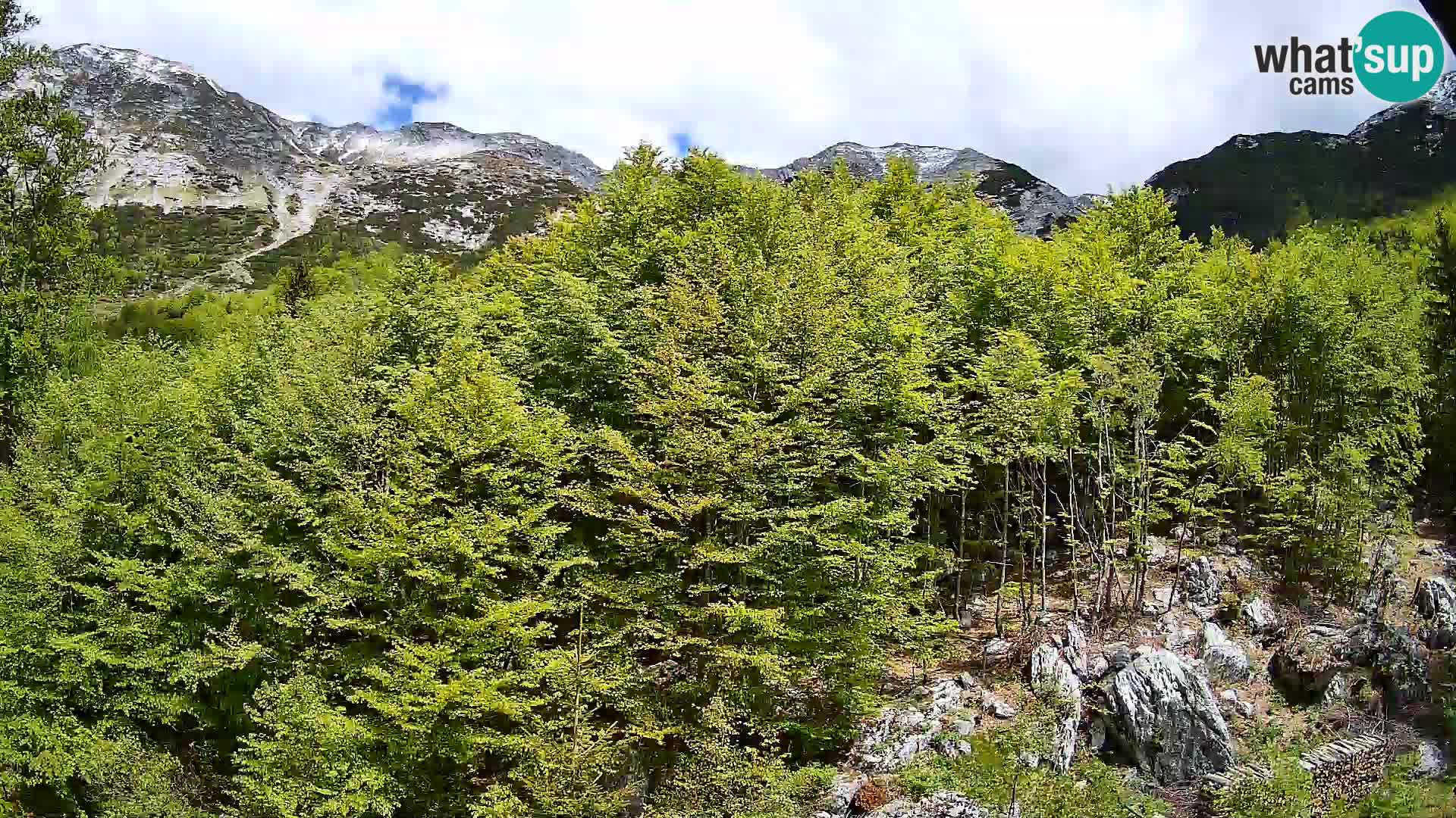 PLANINA RAZOR webcam (1315) | view to Vogel and Globoko