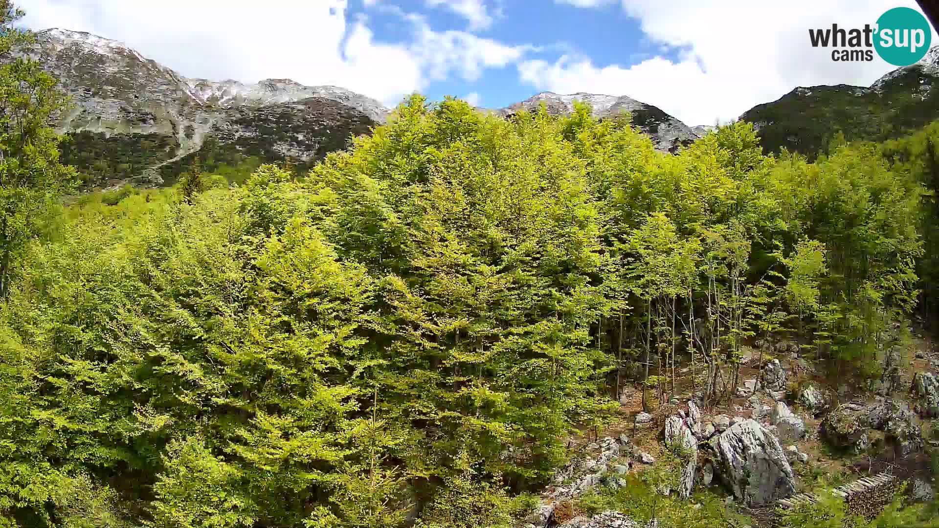Livecam PLANINA RAZOR (1315) | vue sur Vogel et Globoko
