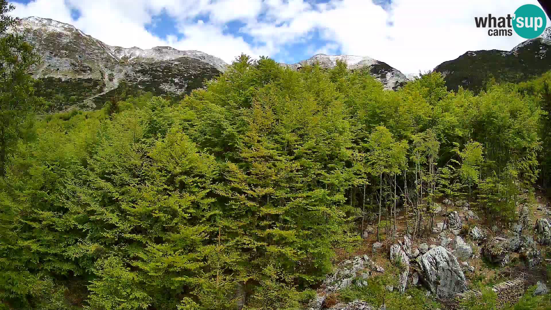Livecam PLANINA RAZOR (1315) | vue sur Vogel et Globoko