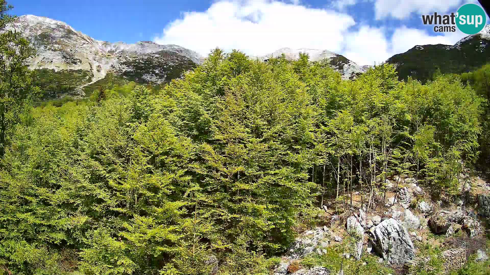 Livecam PLANINA RAZOR (1315) | vue sur Vogel et Globoko