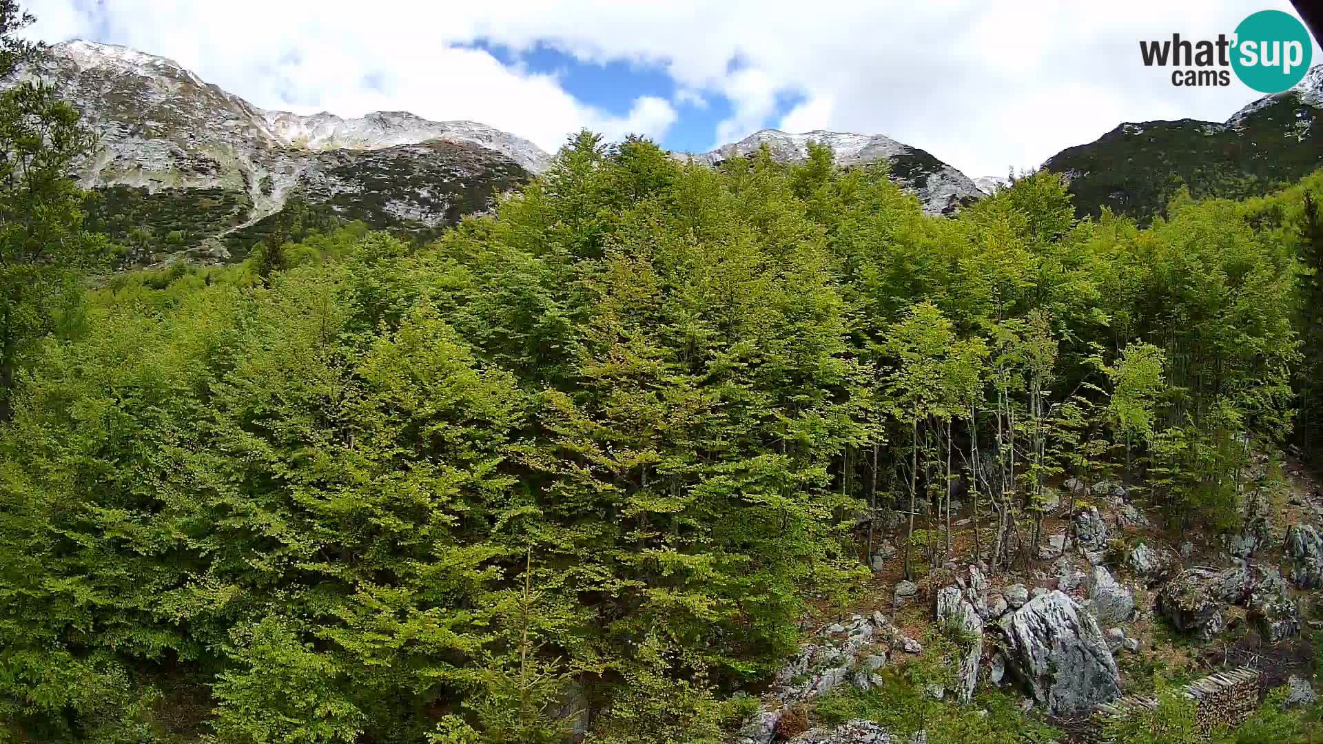 PLANINA RAZOR webcam (1315) | view to Vogel and Globoko