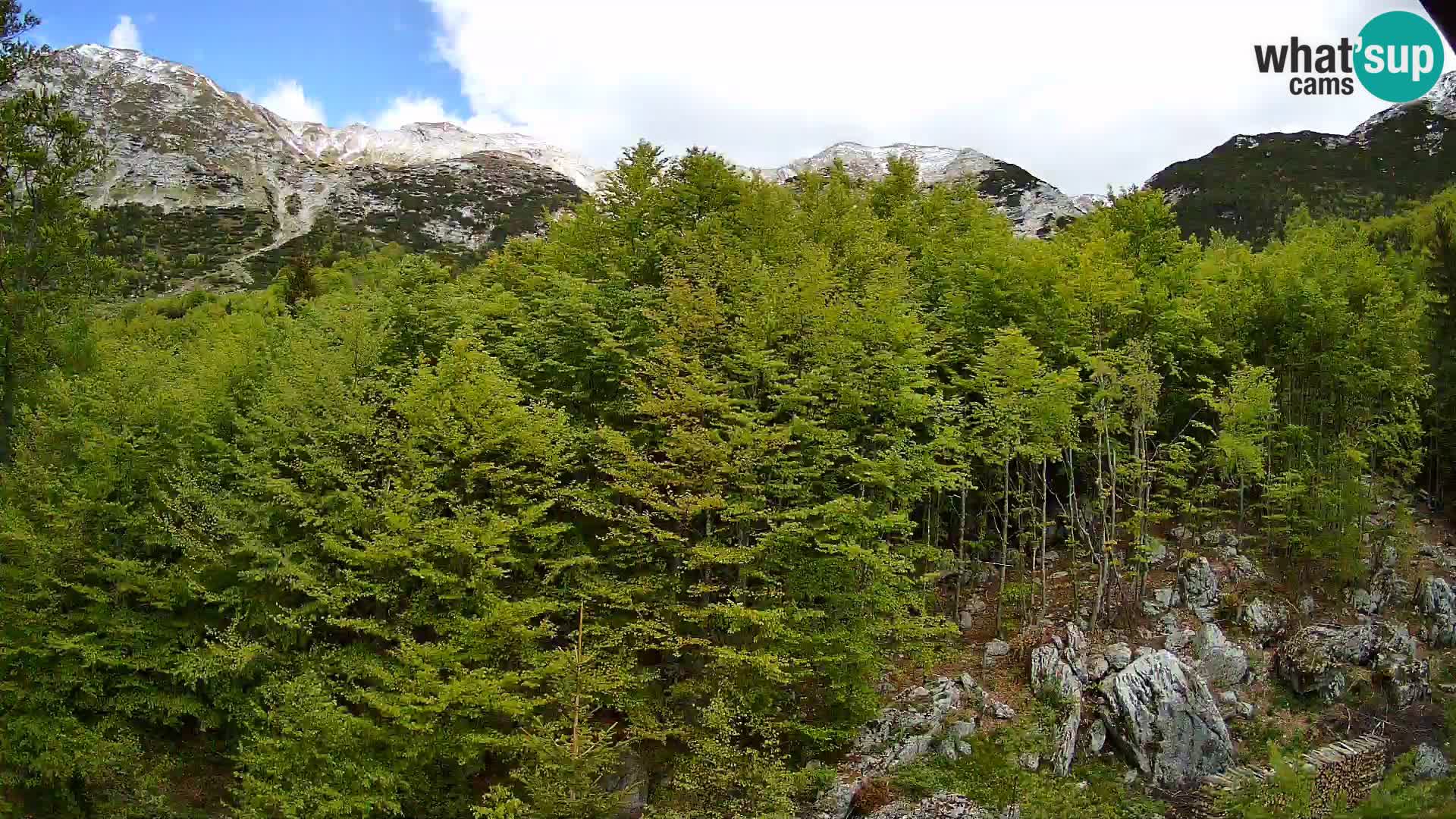 Cámara web PLANINA RAZOR (1315) | vista a Vogel y Globoko