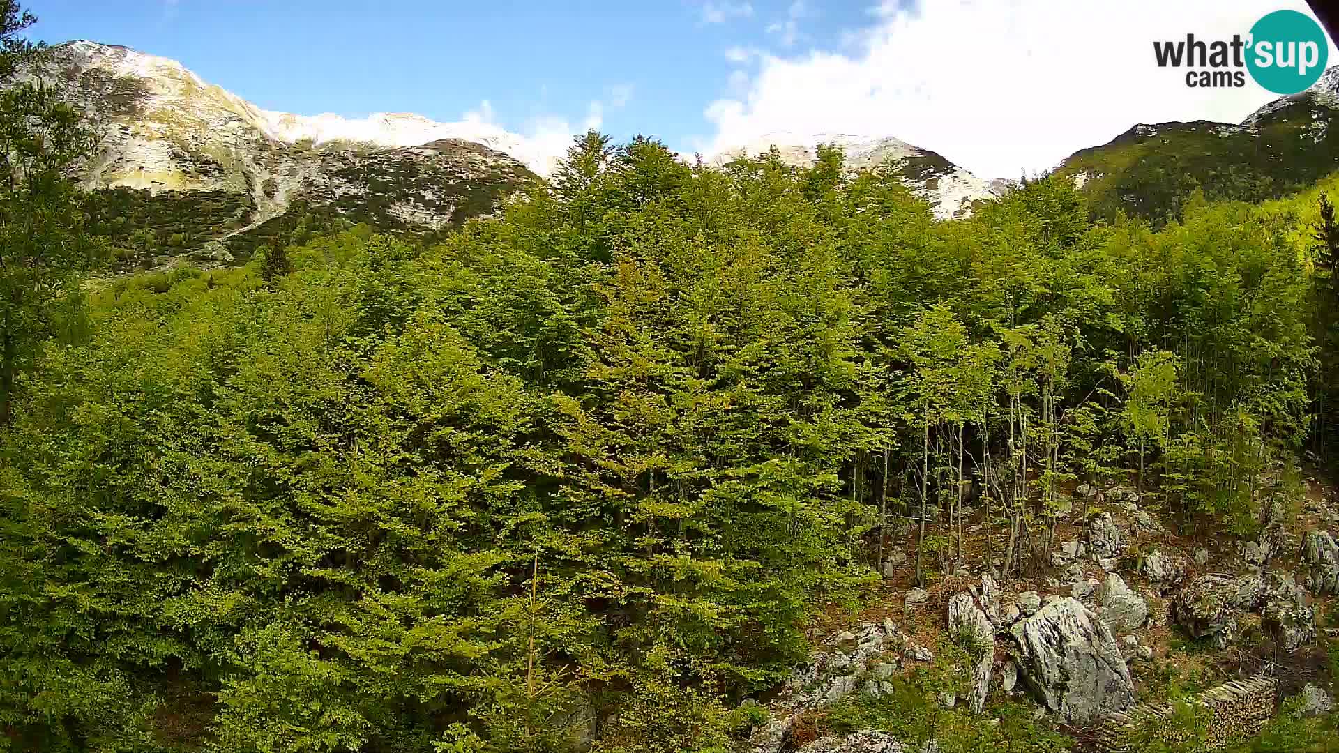 Webcam PLANINA RAZOR (1315) | Blick auf Vogel und Globoko