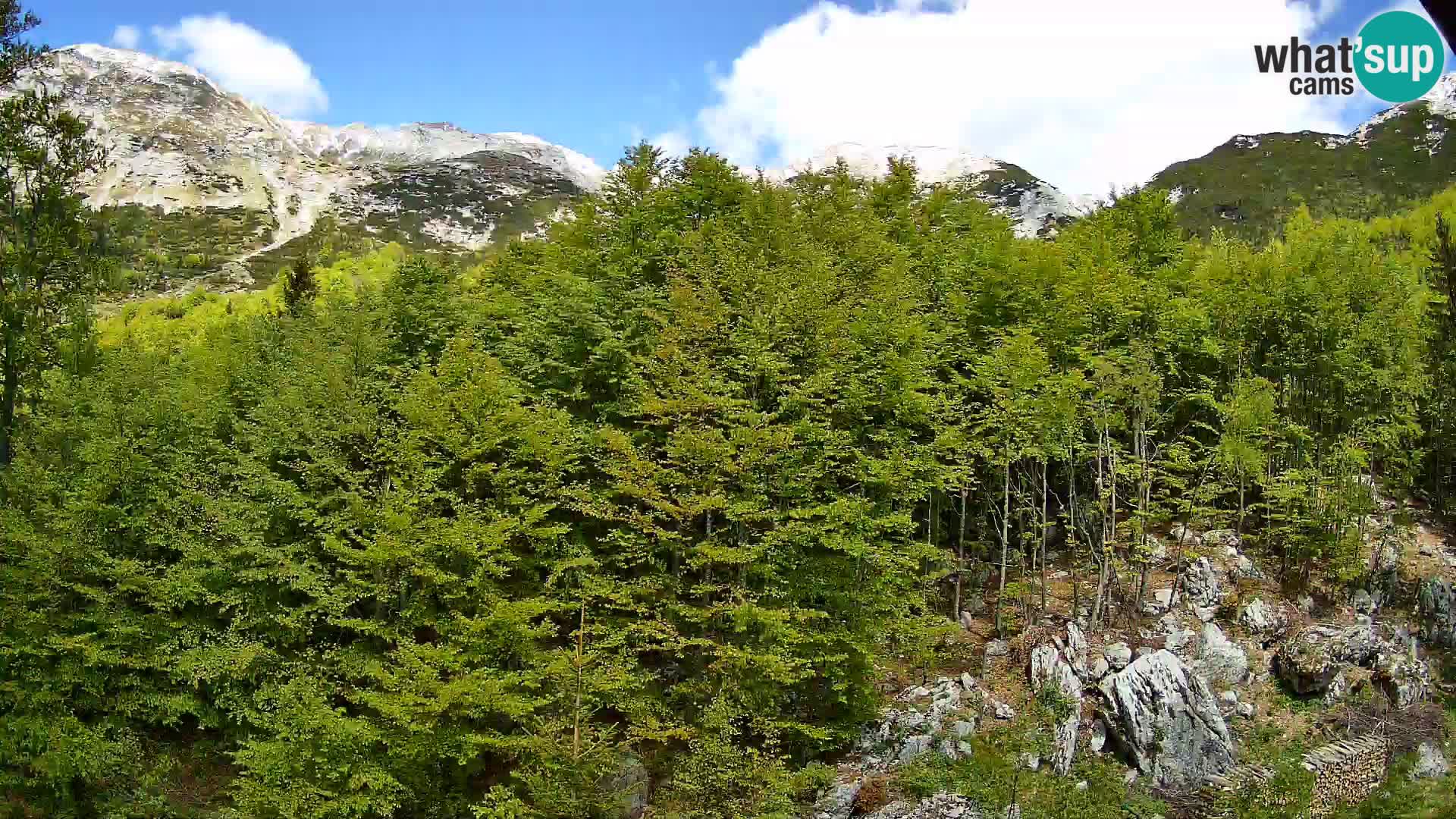 Livecam PLANINA RAZOR (1315) | vue sur Vogel et Globoko