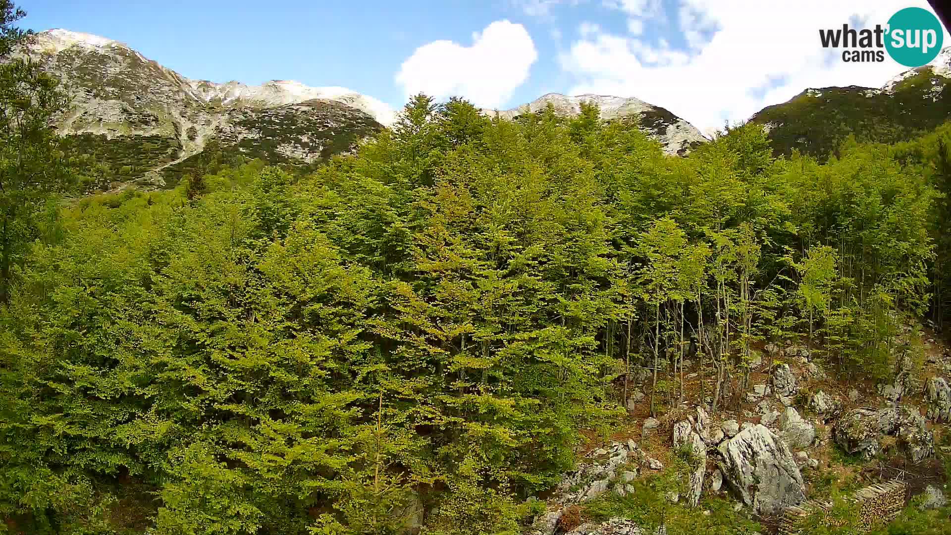 PLANINA RAZOR web kamera (1315) | pogled na Vogel i Globoko