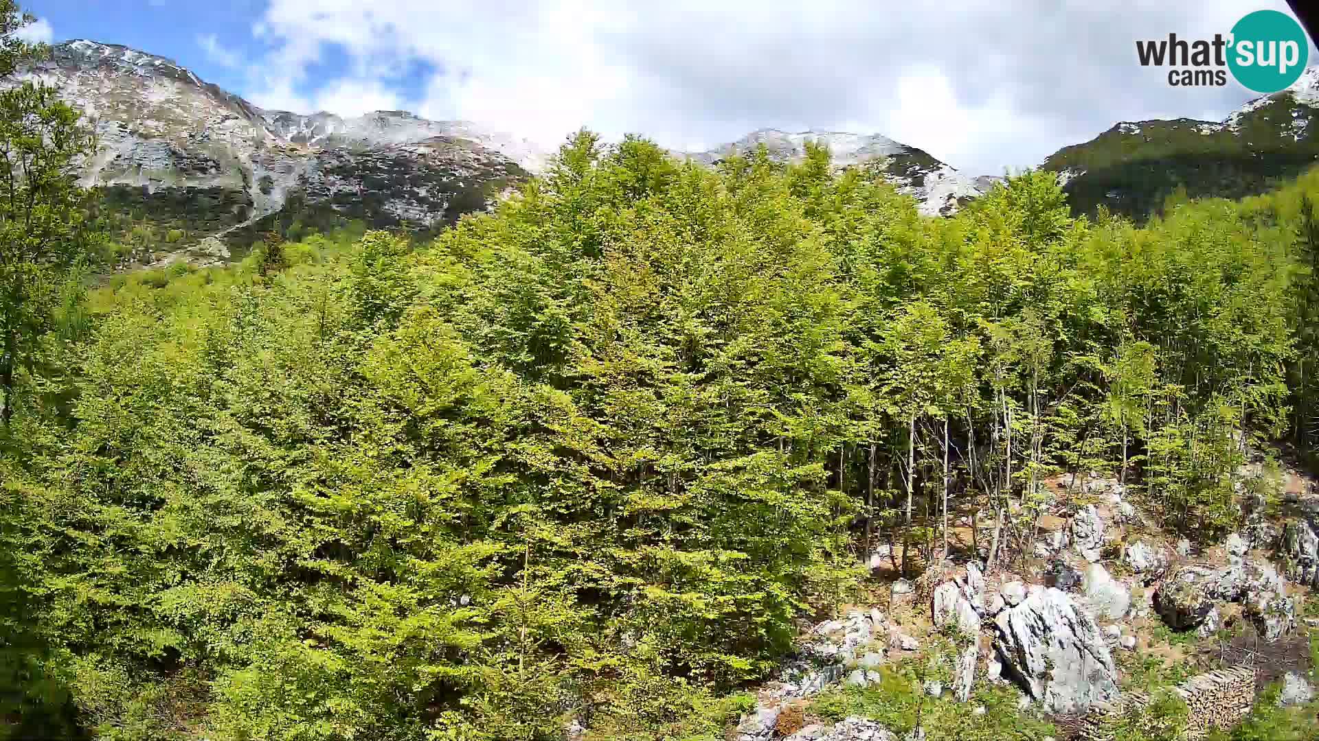 Webcam PLANINA RAZOR (1315) | Blick auf Vogel und Globoko