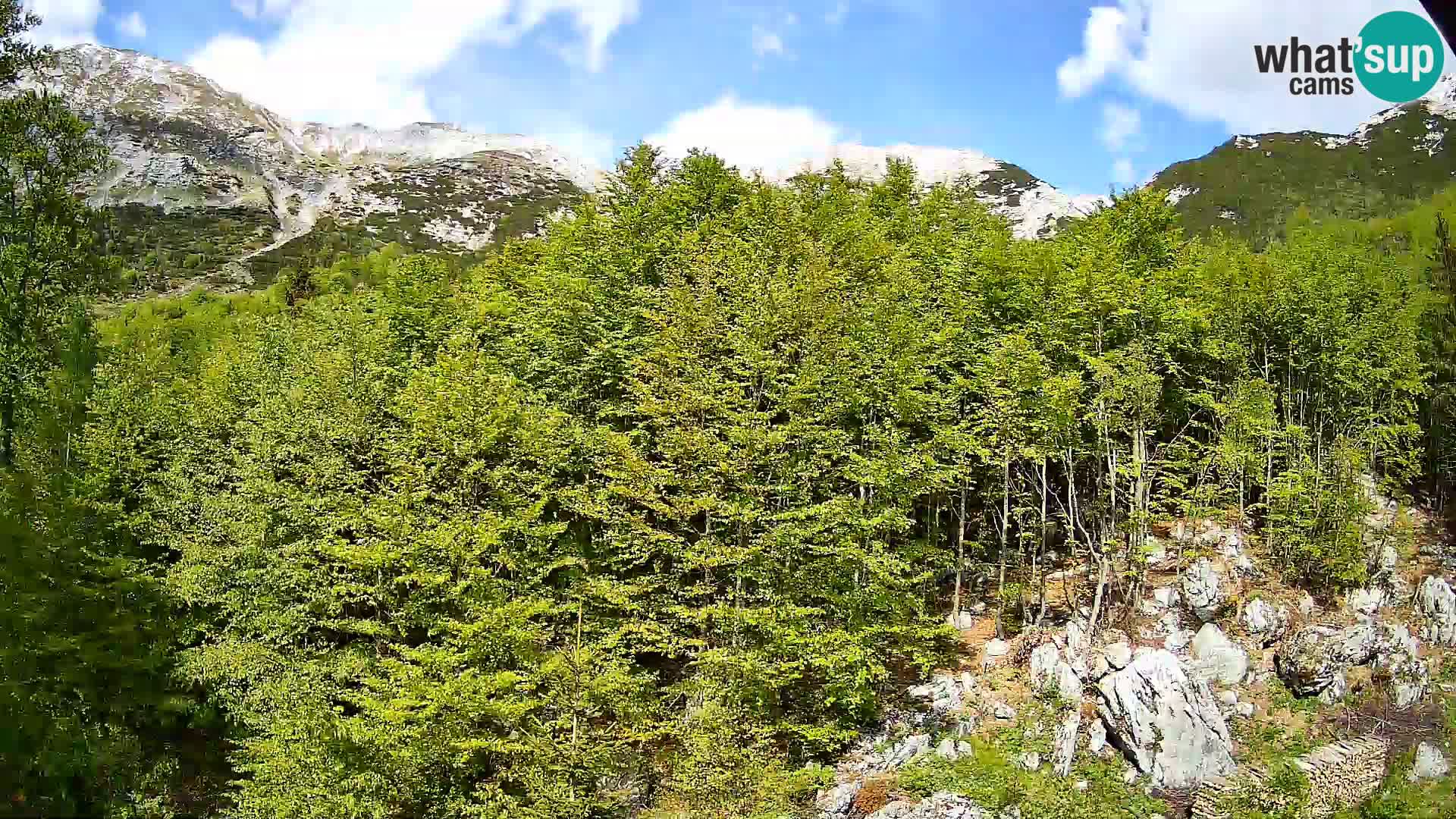 Webcam PLANINA RAZOR (1315) | Blick auf Vogel und Globoko
