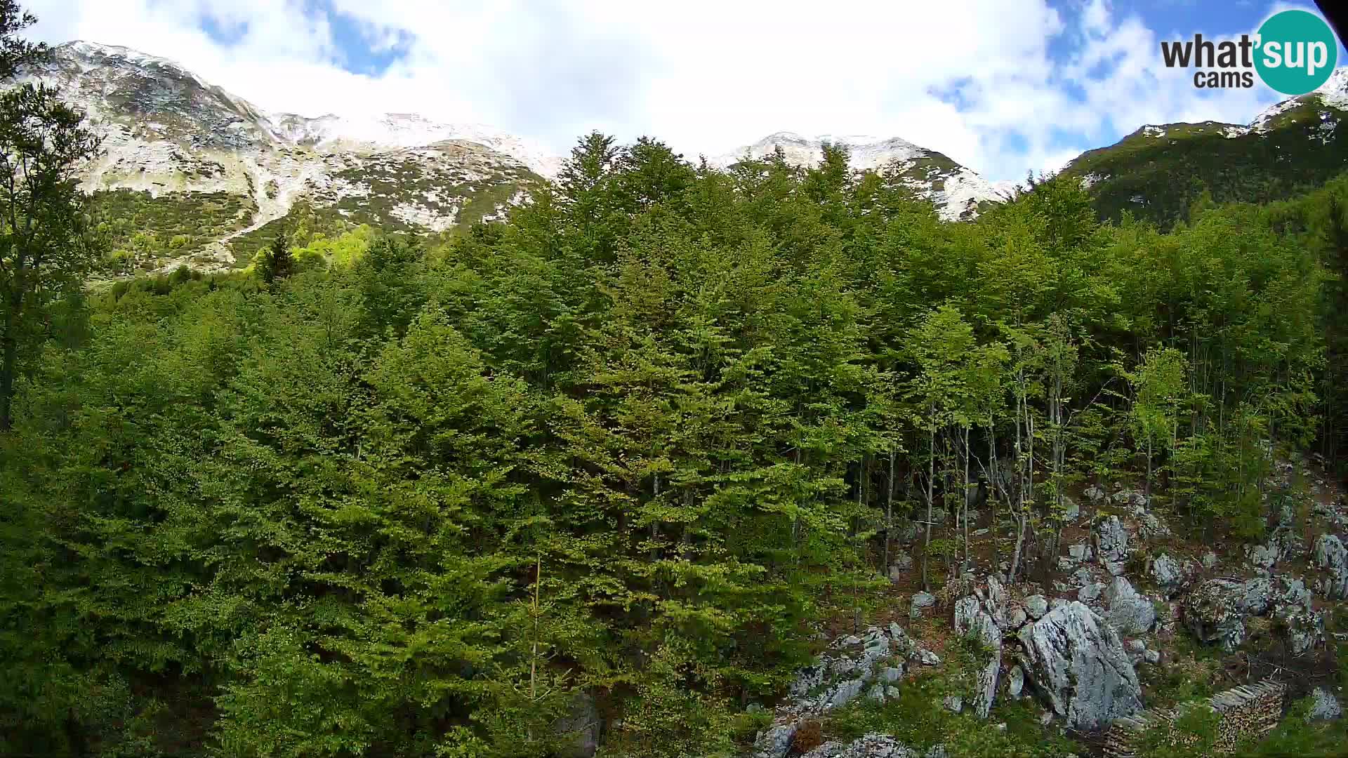 PLANINA RAZOR webcam (1315) | view to Vogel and Globoko