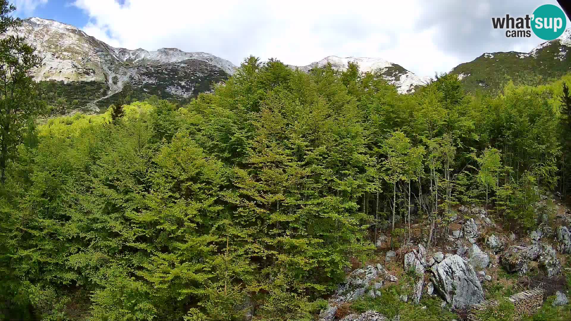PLANINA RAZOR kamera (1315) | pogled na Vogel in Globoko