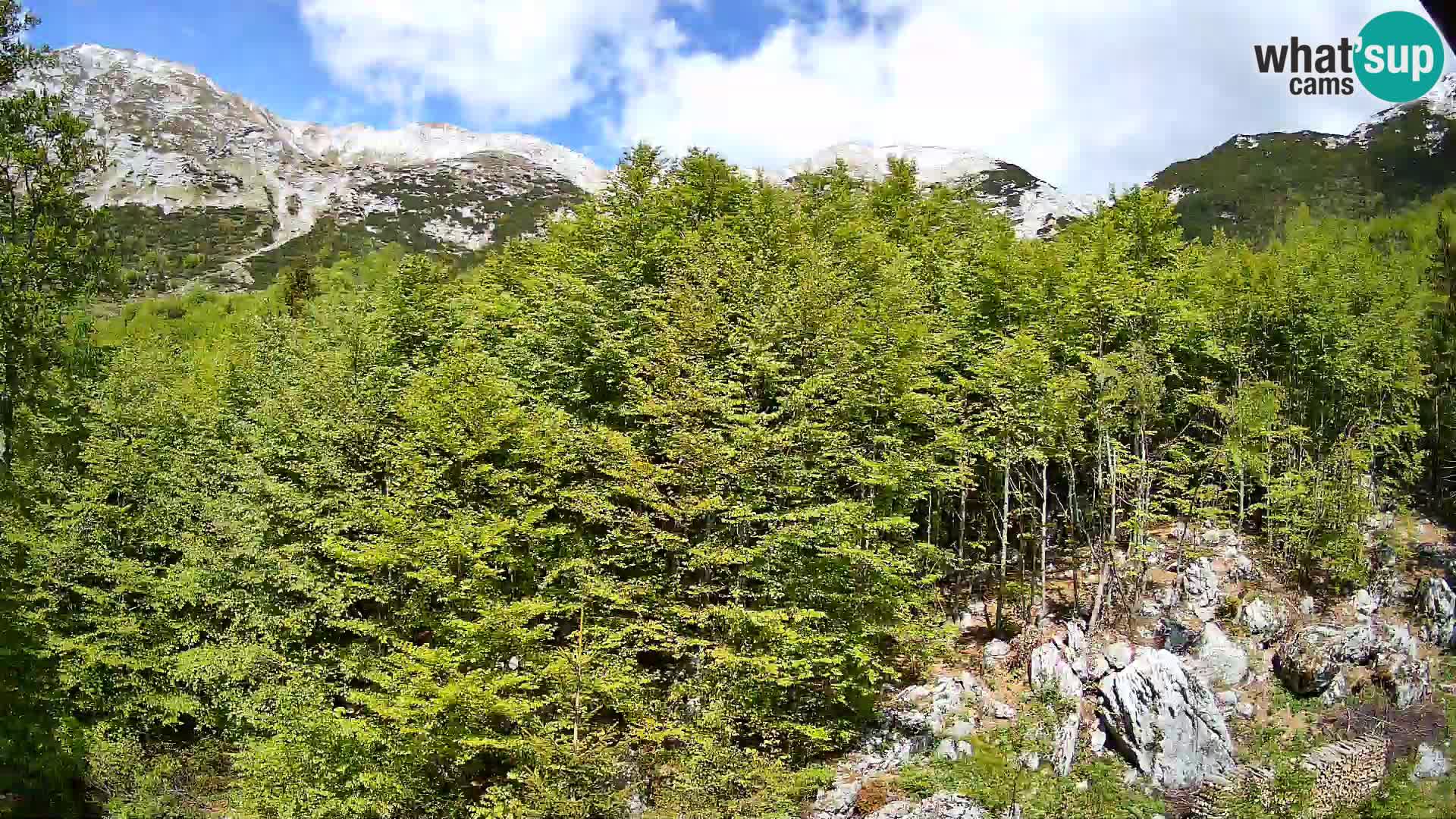 PLANINA RAZOR Live Cam (1315) | vista su Vogel e Globoko