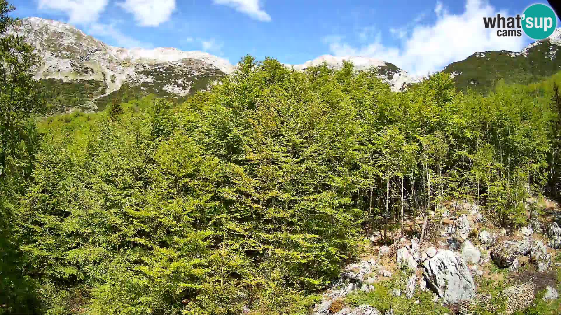 Cámara web PLANINA RAZOR (1315) | vista a Vogel y Globoko