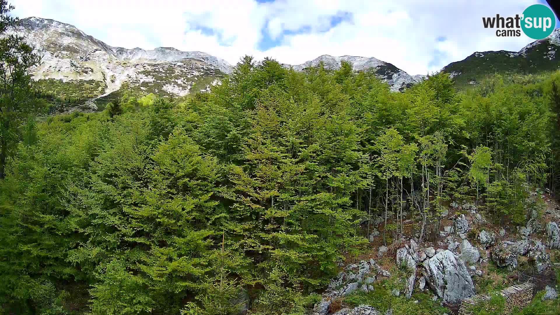 PLANINA RAZOR webcam (1315) | view to Vogel and Globoko