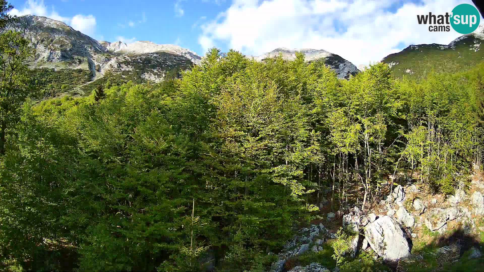 PLANINA RAZOR Live Cam (1315) | vista su Vogel e Globoko