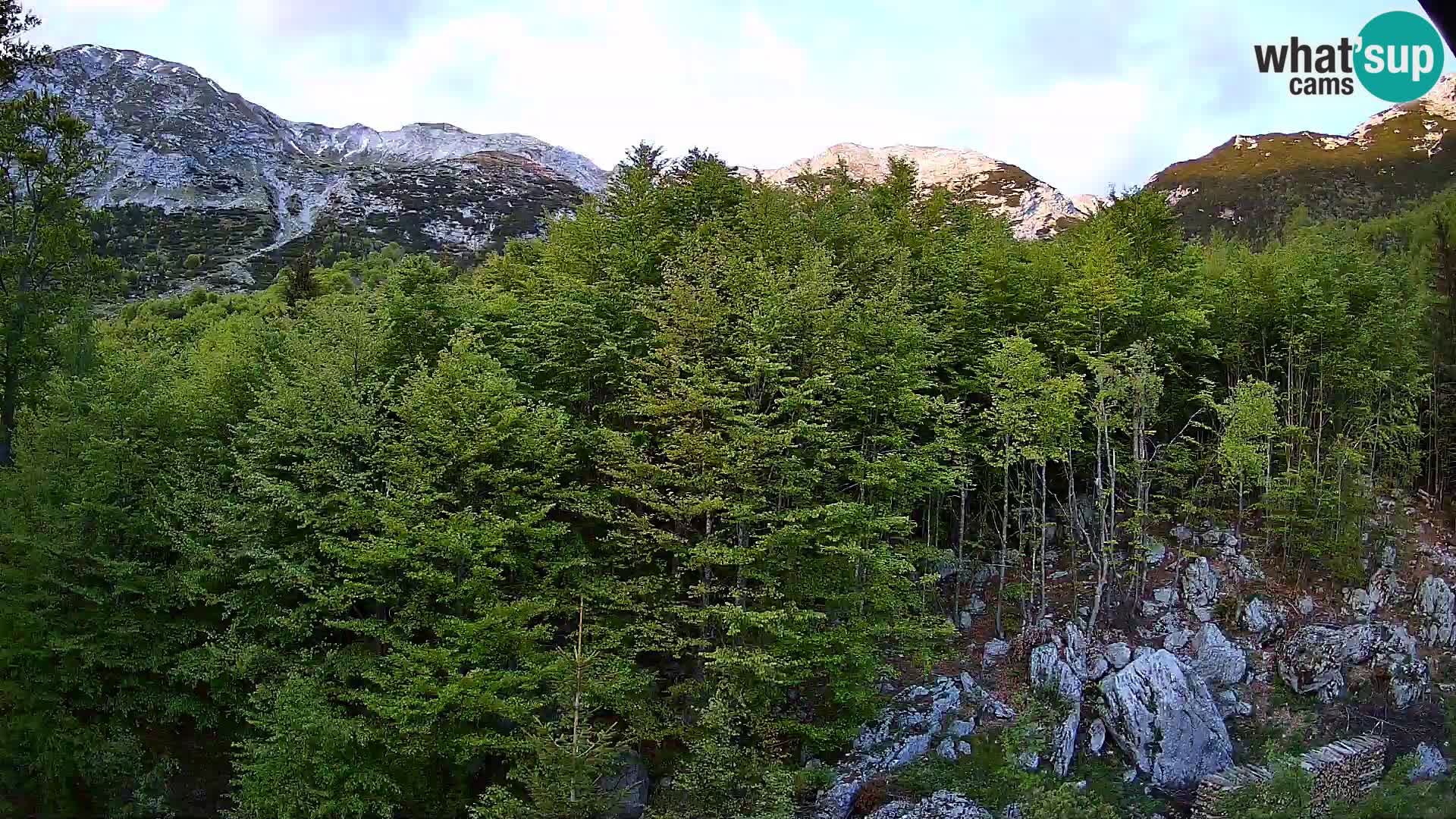 Webcam PLANINA RAZOR (1315) | Blick auf Vogel und Globoko