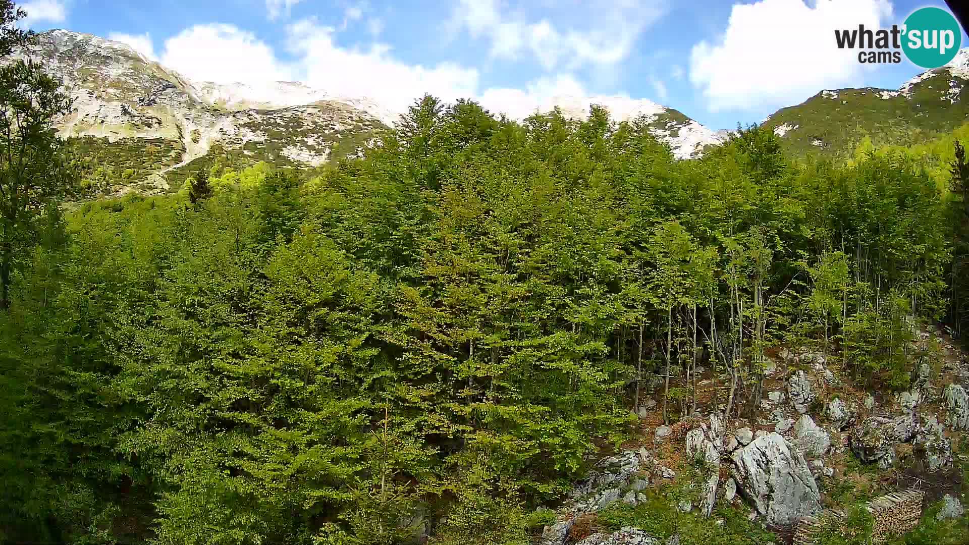 Cámara web PLANINA RAZOR (1315) | vista a Vogel y Globoko