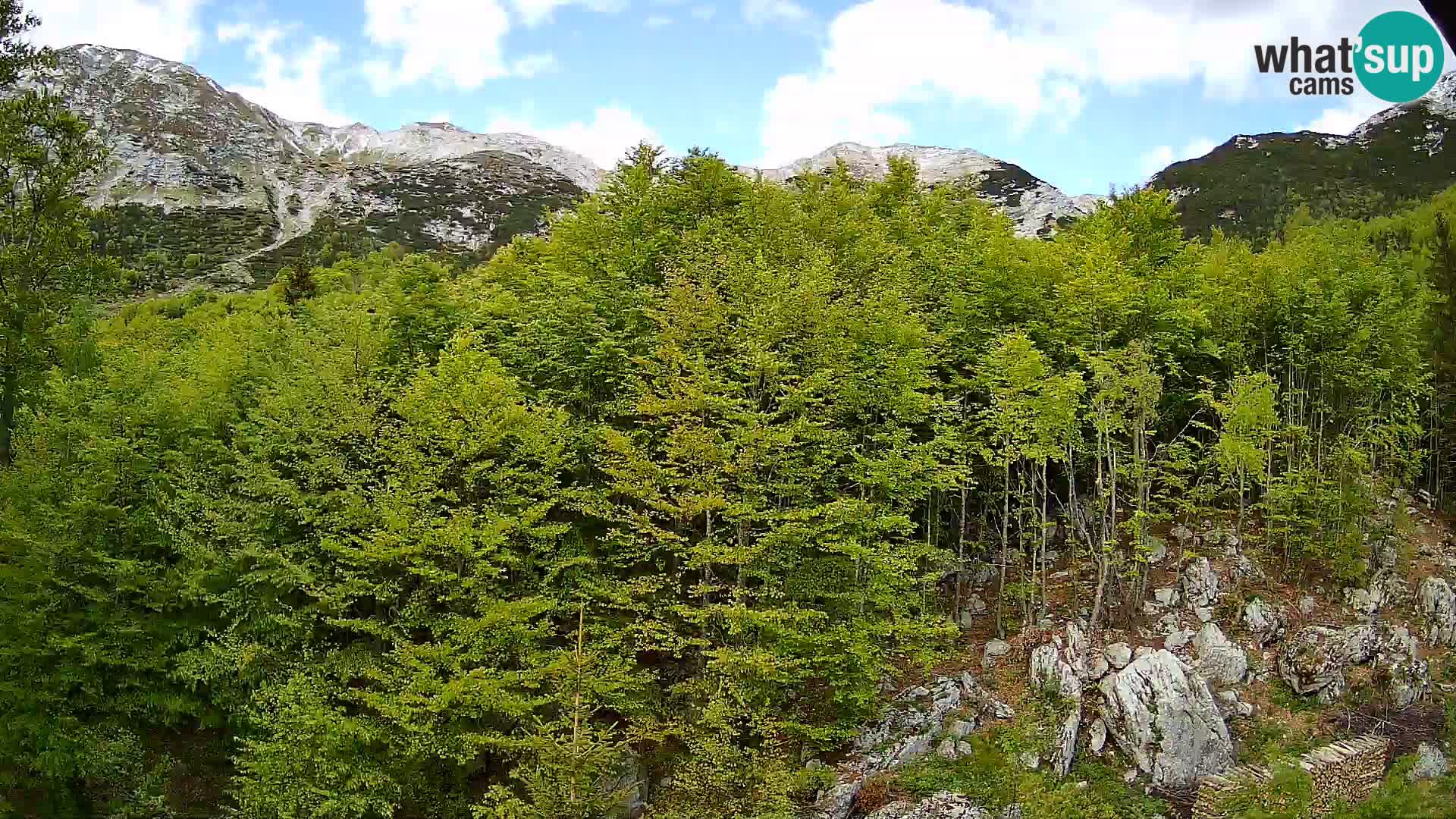 PLANINA RAZOR Live Cam (1315) | vista su Vogel e Globoko